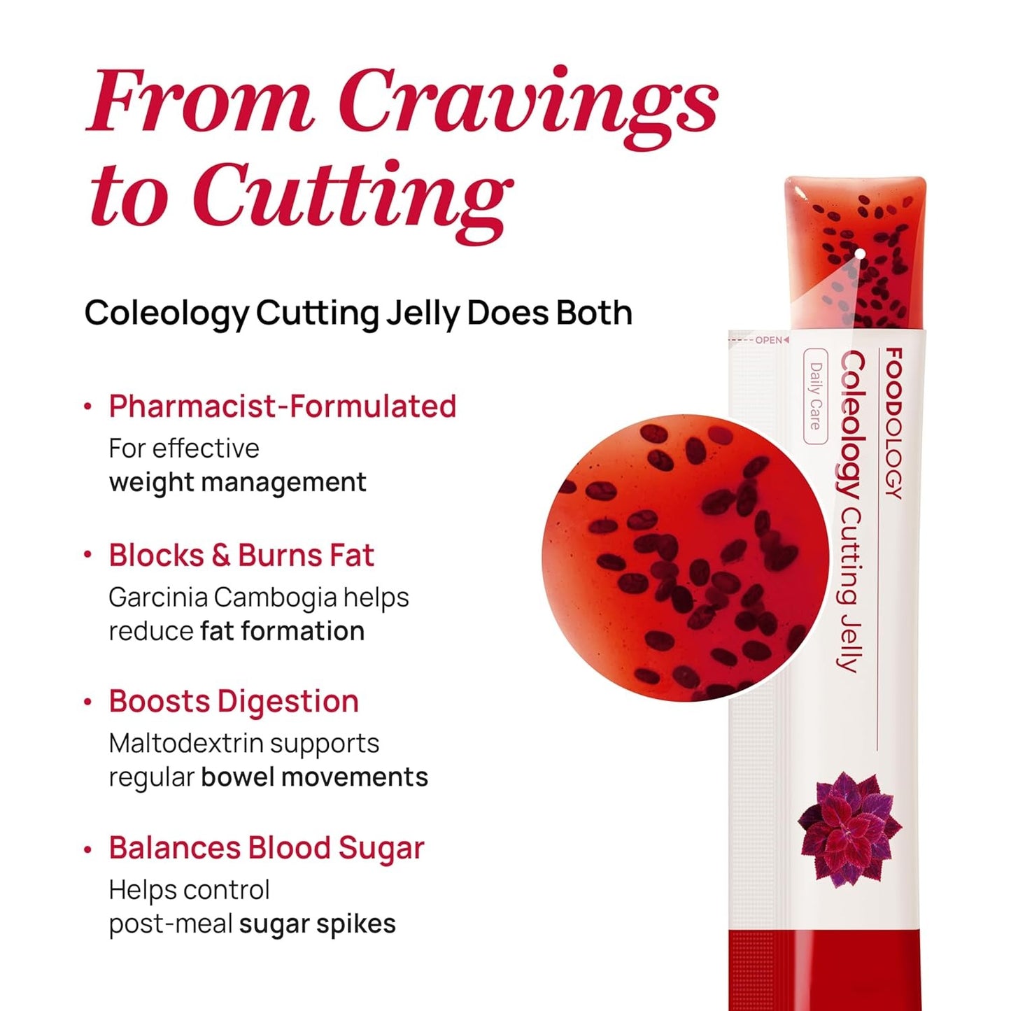 Foodlogy Cutting Jelly